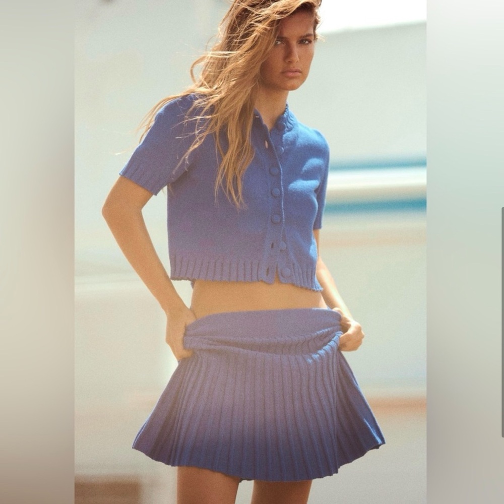 Zara pleated knit skirt